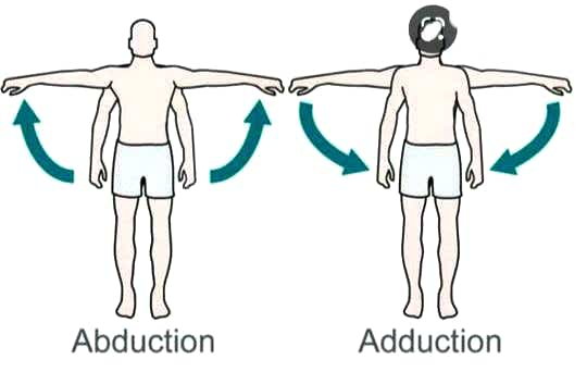 Anatomy and Physiology homework question answer, step 1, image 1